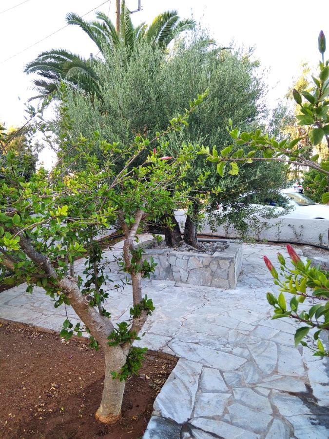 Cretanvibes Apartments Hersonissos  Exterior foto