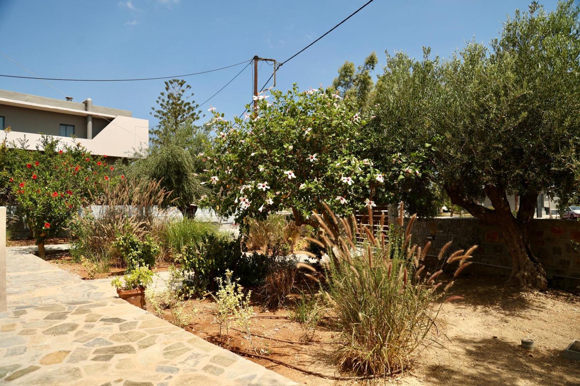 Cretanvibes Apartments Hersonissos  Exterior foto